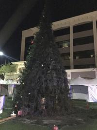 Man accused of burning Arizona city's $40K Christmas tree