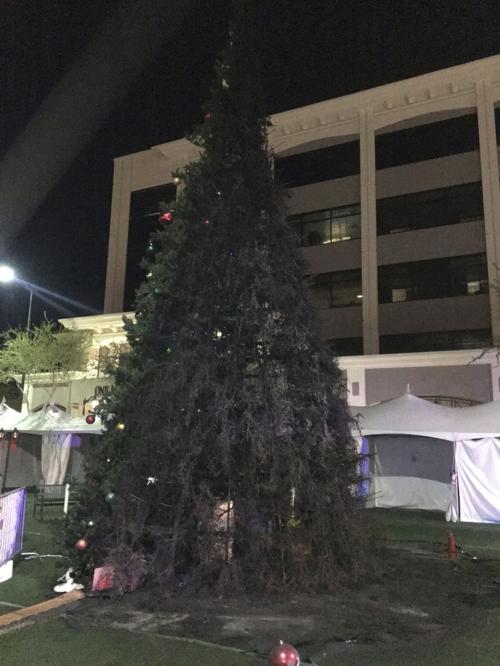 City's Christmas Tree Arson Arrest