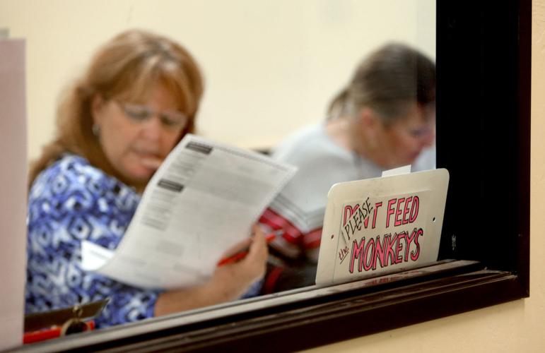 Pima County elections