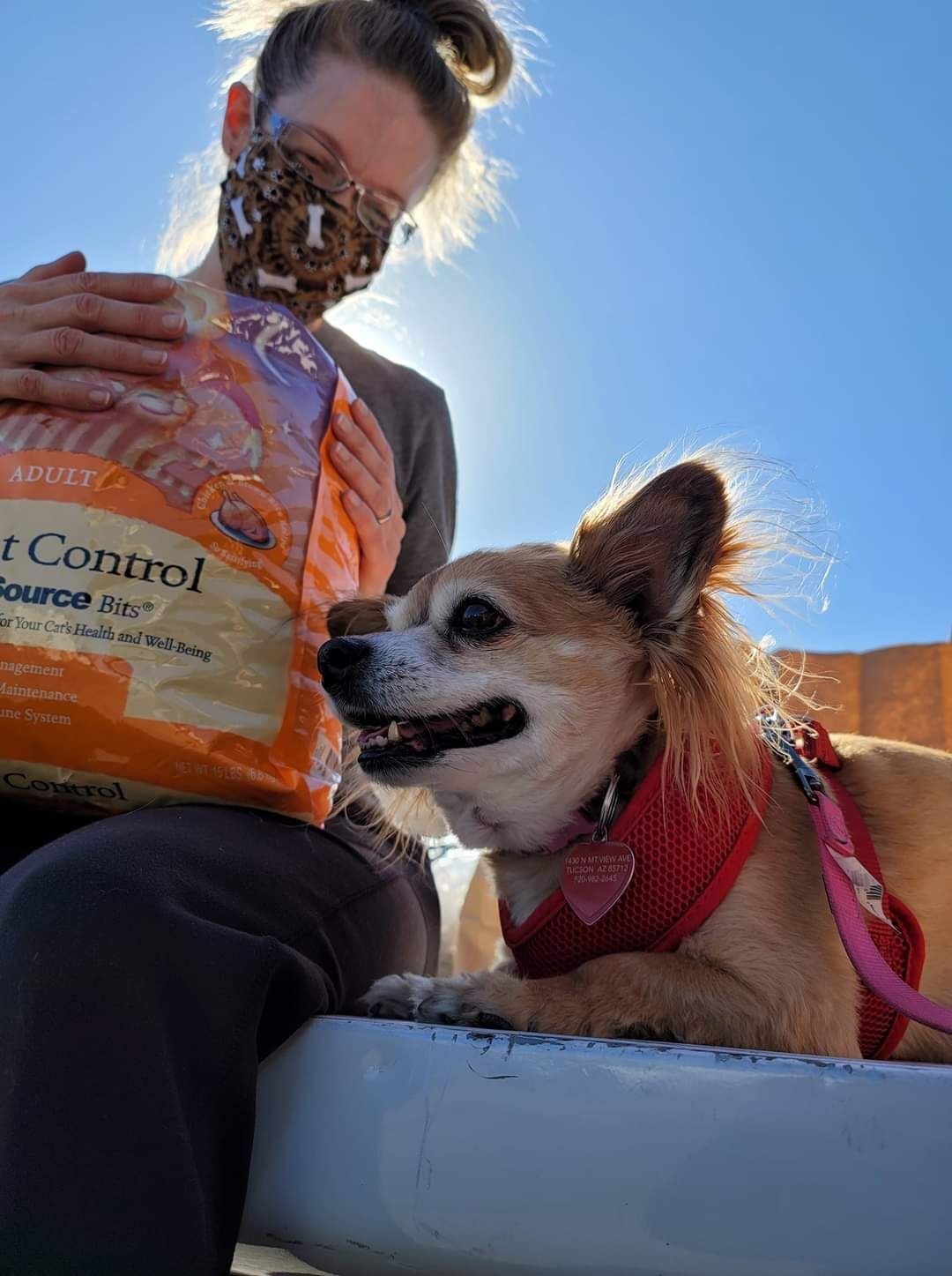 Animal Food Bank In Tucson Downsizes, Relocates To Midtown