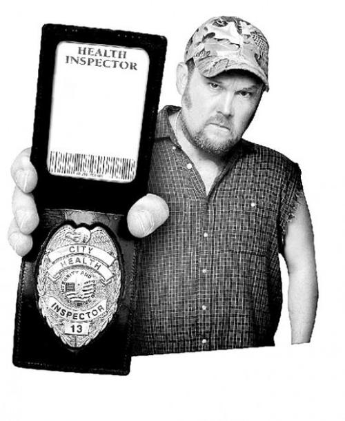 After stand-up, it's all gravy for Cable Guy  