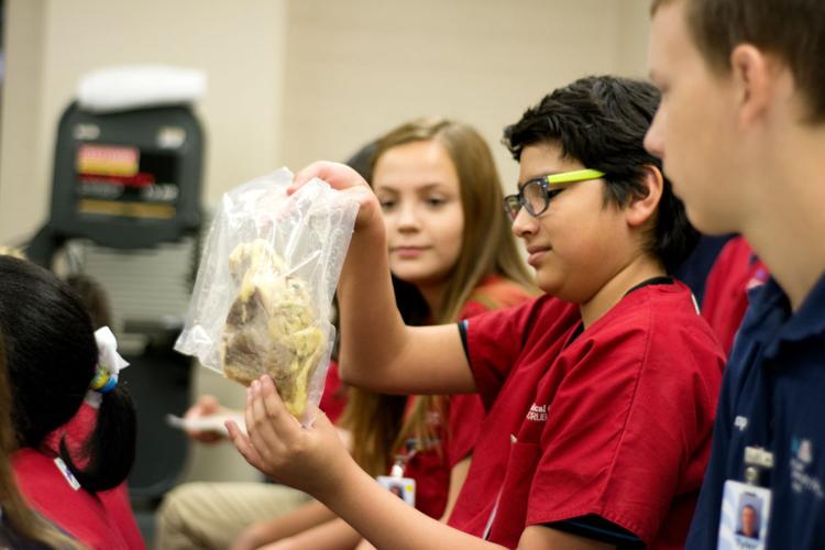 Students get a peek at body parts at Camp Scrubs
