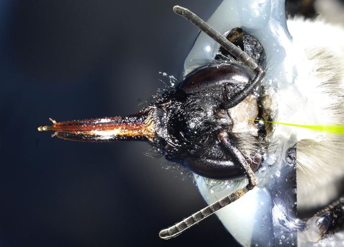 University of Arizona: The Art of Science