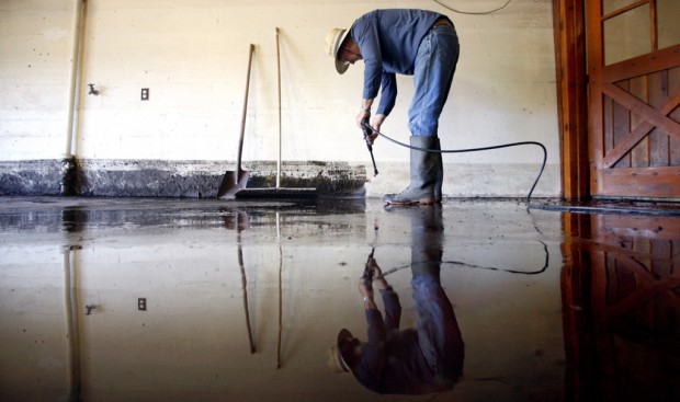 Ecotourism sector struggles for comeback after fires' fury   