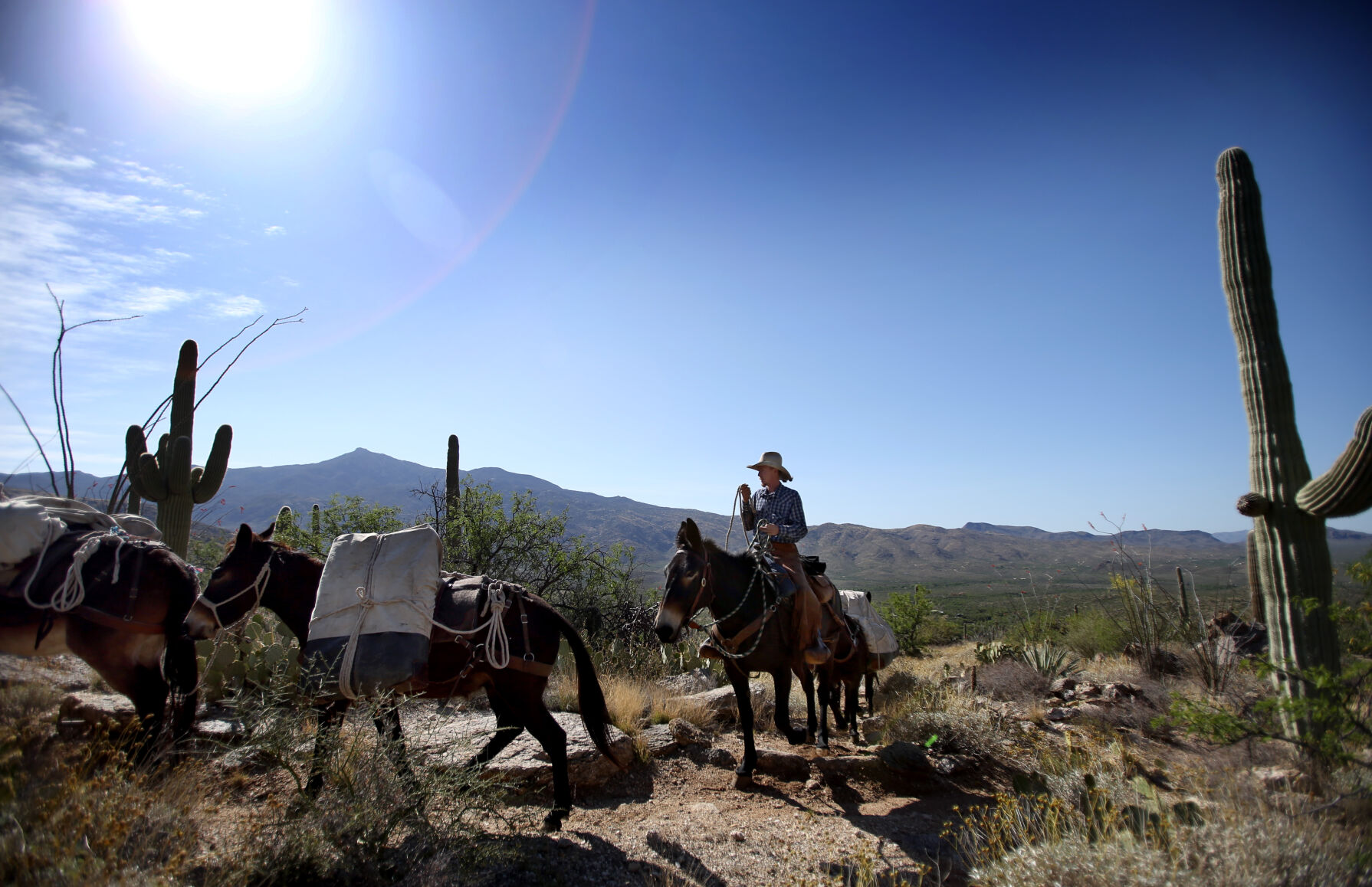 Manning hotsell camp trail