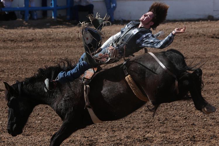 2016 La Fiesta de los Vaqueros