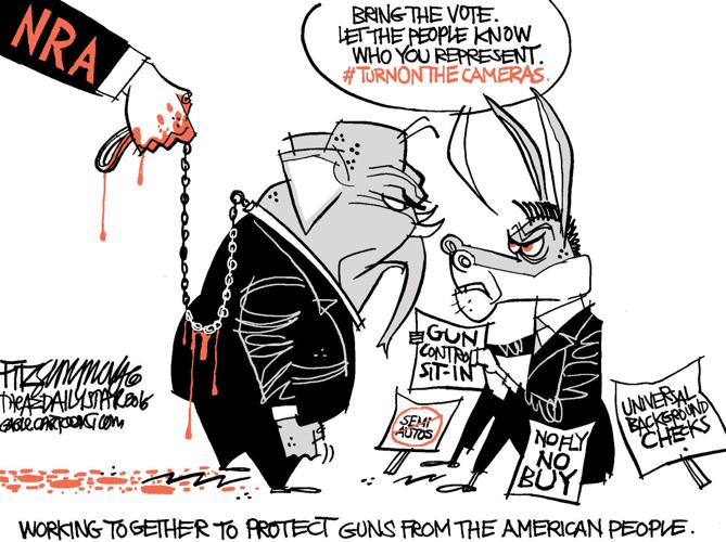 Daily Fitz Cartoon: House sit-in