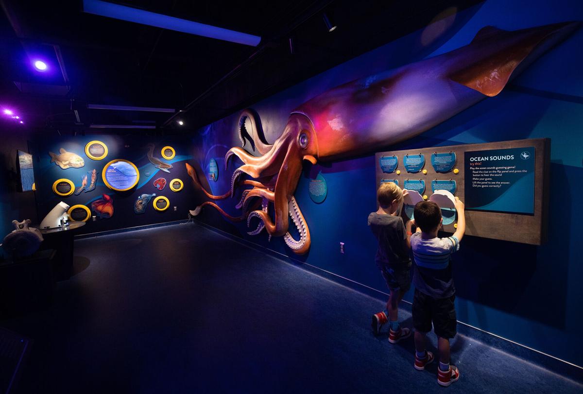Undersea Discovery exhibit opens at Flandrau Science Center
