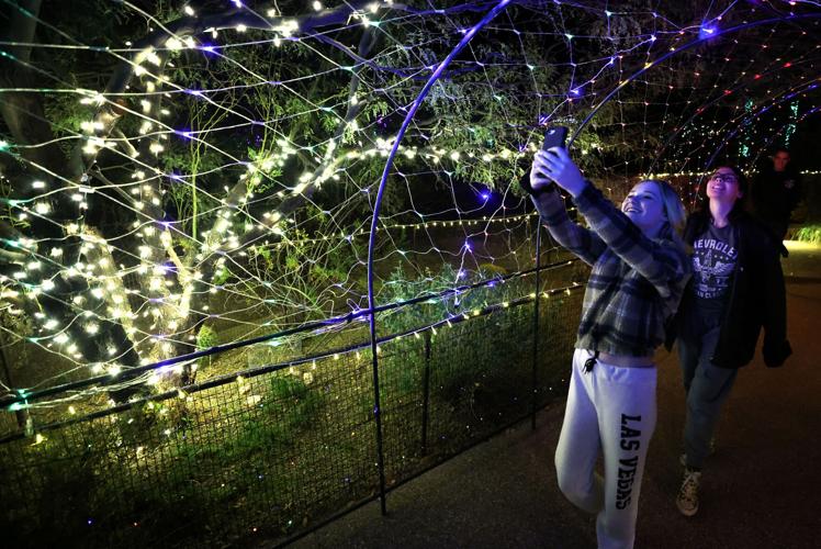 Holiday Nights at Tohono Chul (copy)