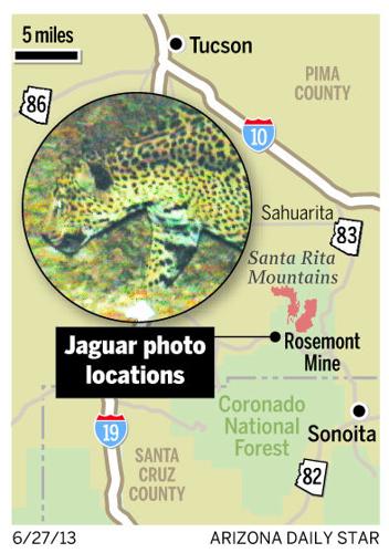 27  JaguarSightings-g1.jpg