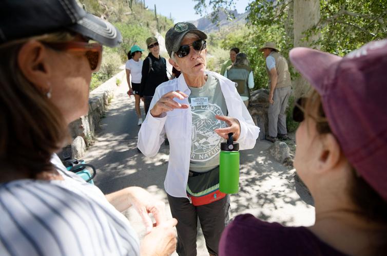 Sabino Canyon Volunteer Naturalists