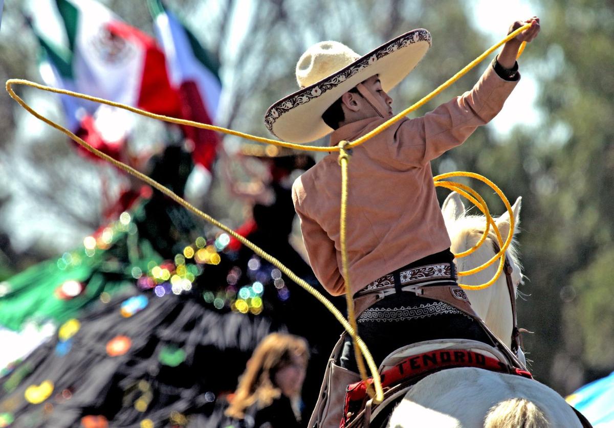 Best of Ron Medvescek in 2016