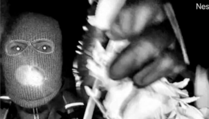 Intentional kidnapping or robbery? Crime experts split on Guthrie case