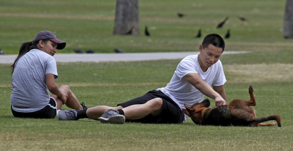 Great weather in Tucson