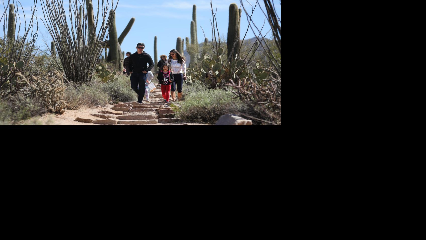 Ryan Berryman on X: 11 mile round trip hike to the crash site of