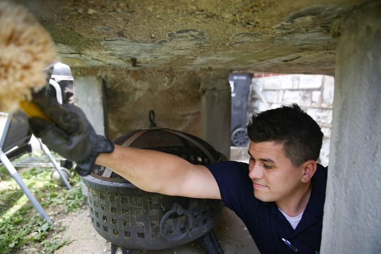 As temperatures rise, St. Louis area homes see a surge in pests