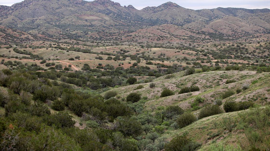 Agency wrong to stop regulating Rosemont Mine site's streams, washes, EPA says - Arizona Daily Star