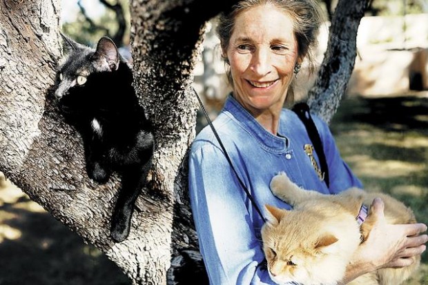 Bless the beasts — all of them  