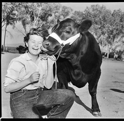 HISTORY OF FAIRS IN PIMA COUNTY   