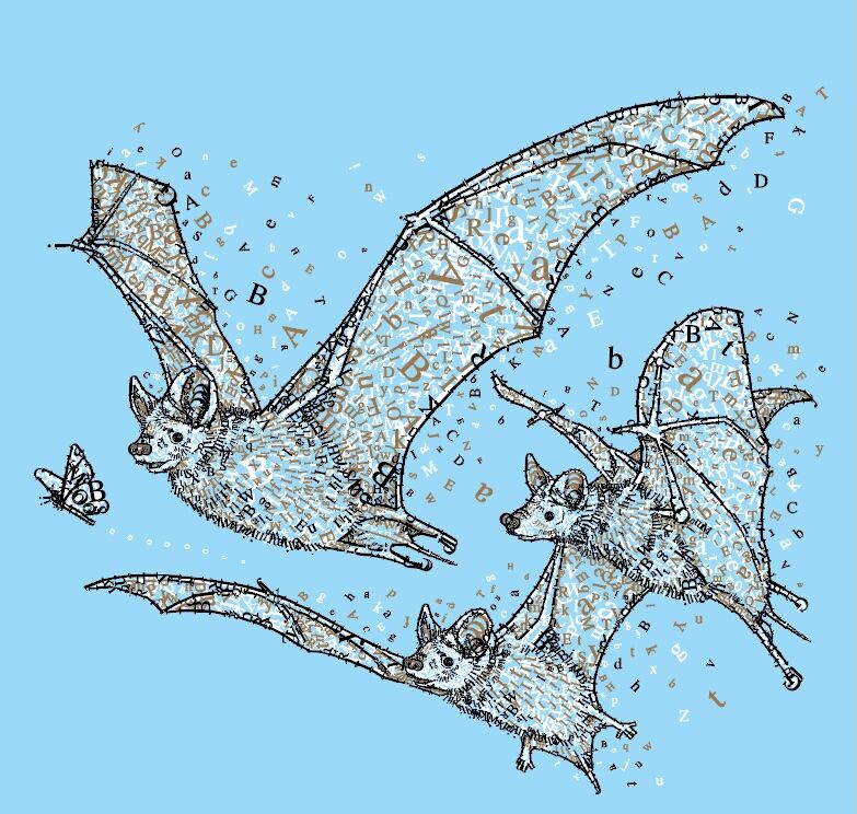 2025 TFOB Tucson Festival of Books critter Mexican Free Tailed Bat