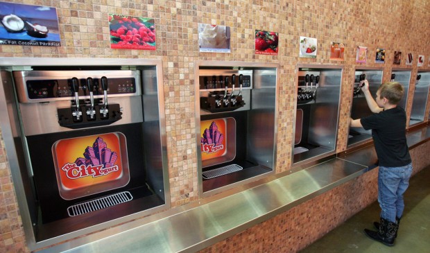 Frozen yogurt: It's your choice   