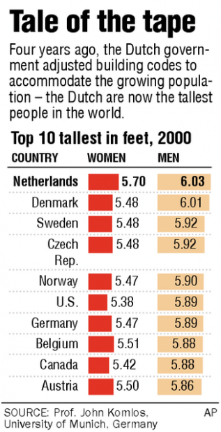 Dutch People Tall