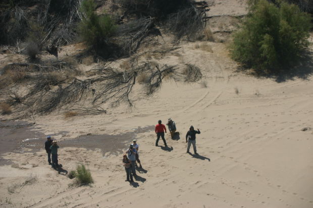 Colorado River delta