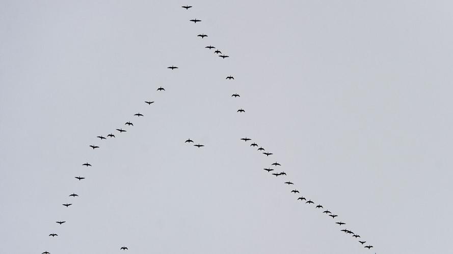 Why passenger jets could soon be flying in formation