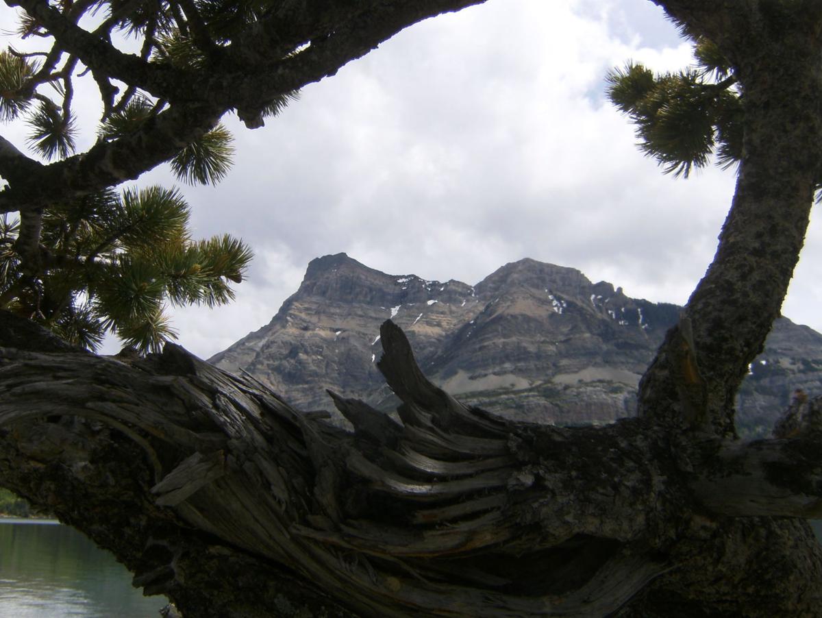 National Park Travel Photo Contest entries