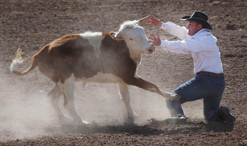 2016 La Fiesta de los Vaqueros