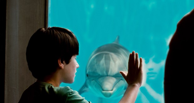 'Dolphin Tale' swims in a sea of cute; inspirational messages sail outward   