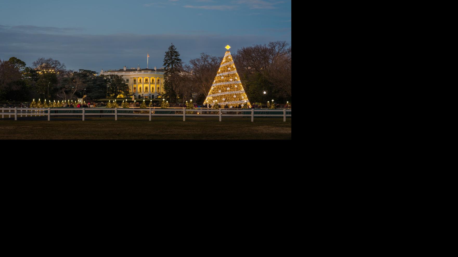 Taking the kids: To see some holiday lights