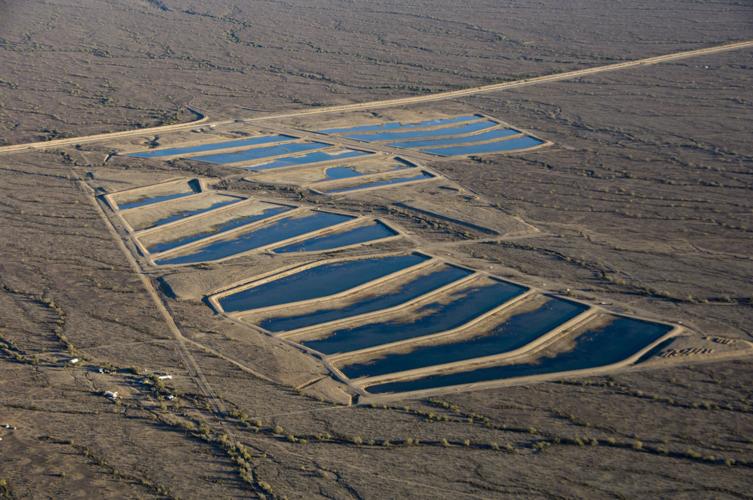 Central Arizona Project recharge basin
