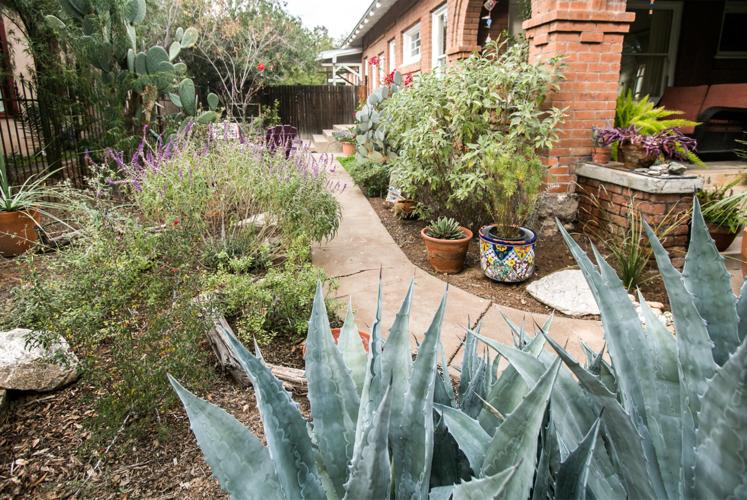 Carol Roberge's eco-therapy garden