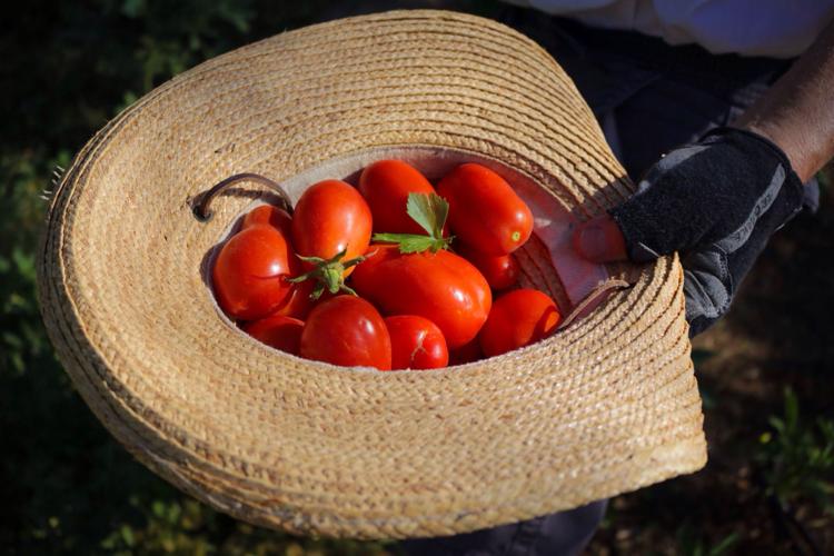 Iron Horse Community Garden