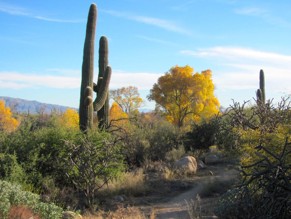 Tucson weather A break in the storm