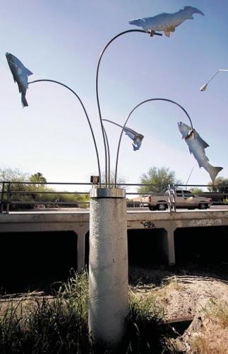 "Sand trout is the local version of a unicorn"