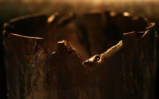 Titanic: The Artifact Exhibition