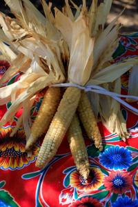 Corn steals the spotlight at Tucson’s Pueblos del Maíz festival this weekend