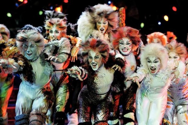 Fun, famed, feline fantasy  