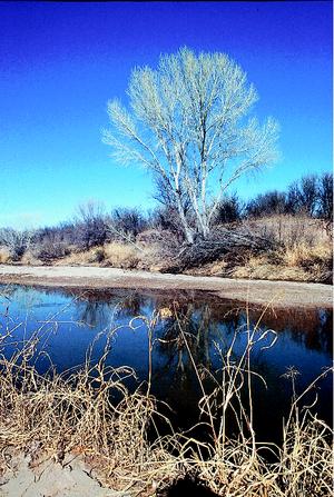 Trickle-down effect rewards all hikers  