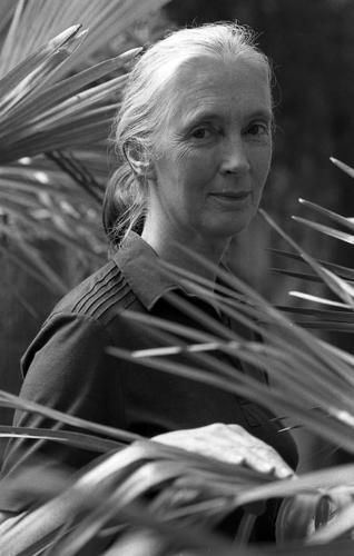 Jane Goodall in Tucson
