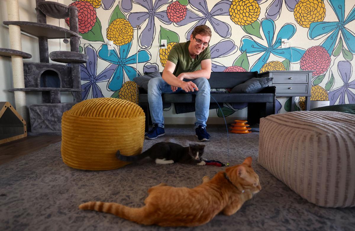 Hunter's Kitten Lounge