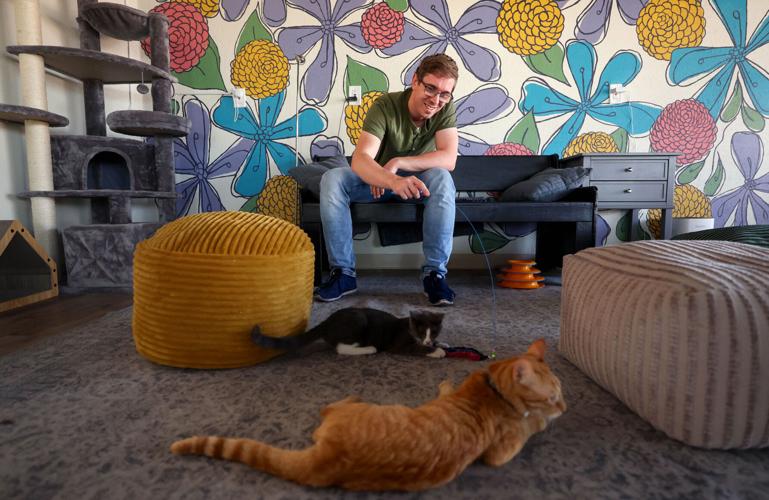 Hunter's Kitten Lounge