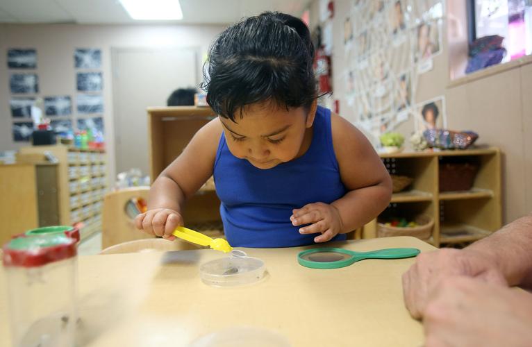 Early Childhood Education