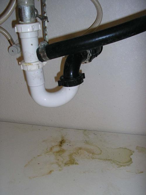 What if the kitchen baseboards seem damp?