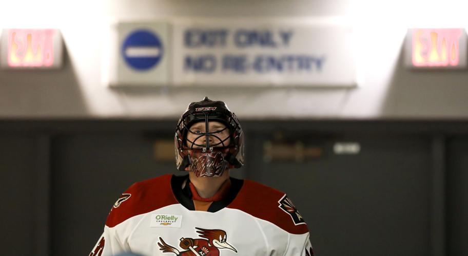 Tucson Roadrunners vs Iowa Wild