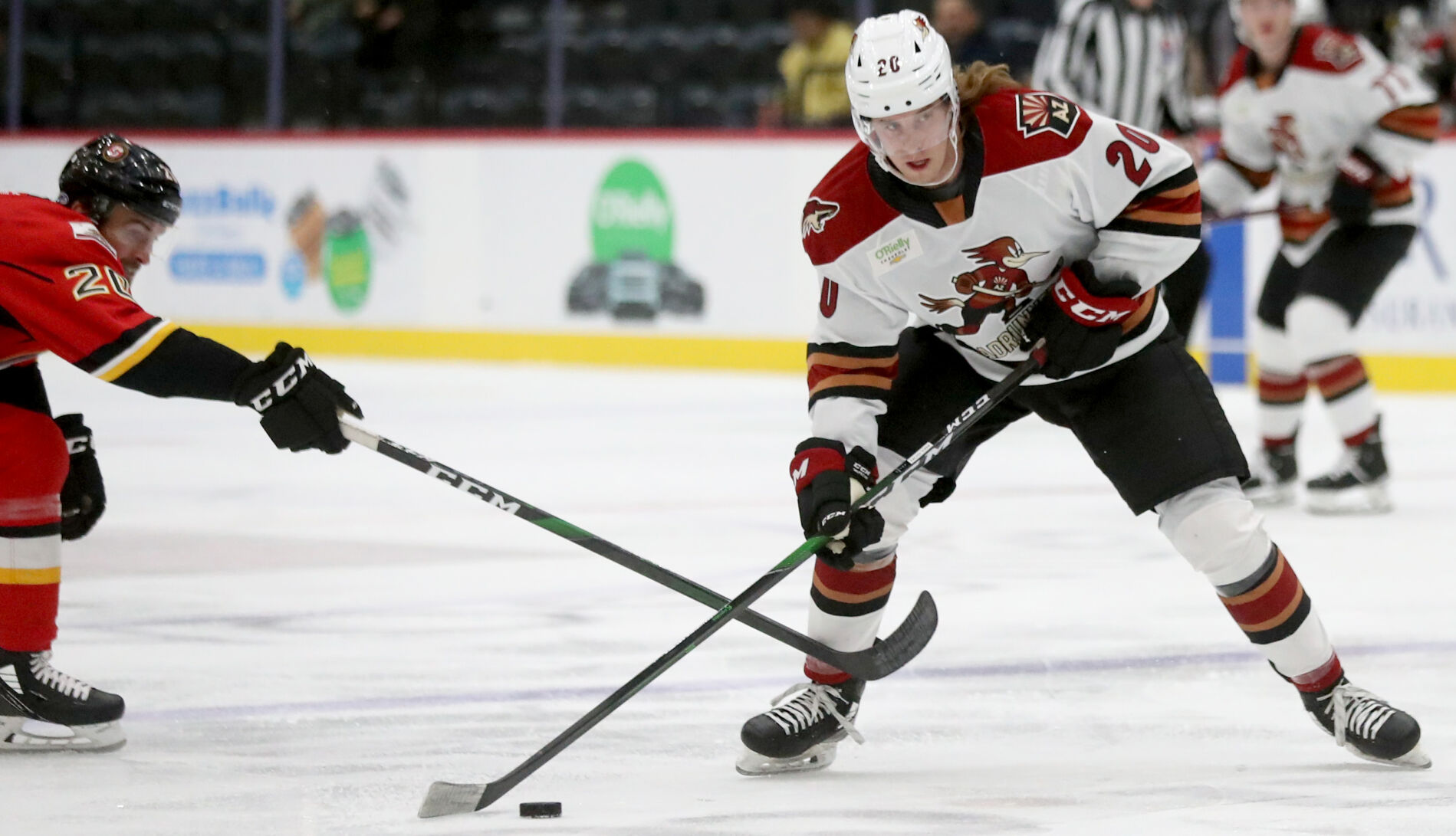 After 8 years and 399 games, Logan Nelson made it to AHL — and Tucson