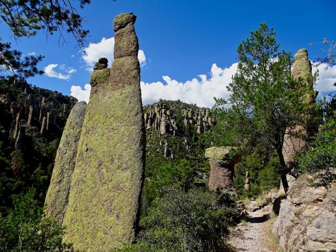 Chiricahua