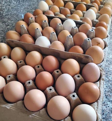 Regional egg producers see surge in sales
